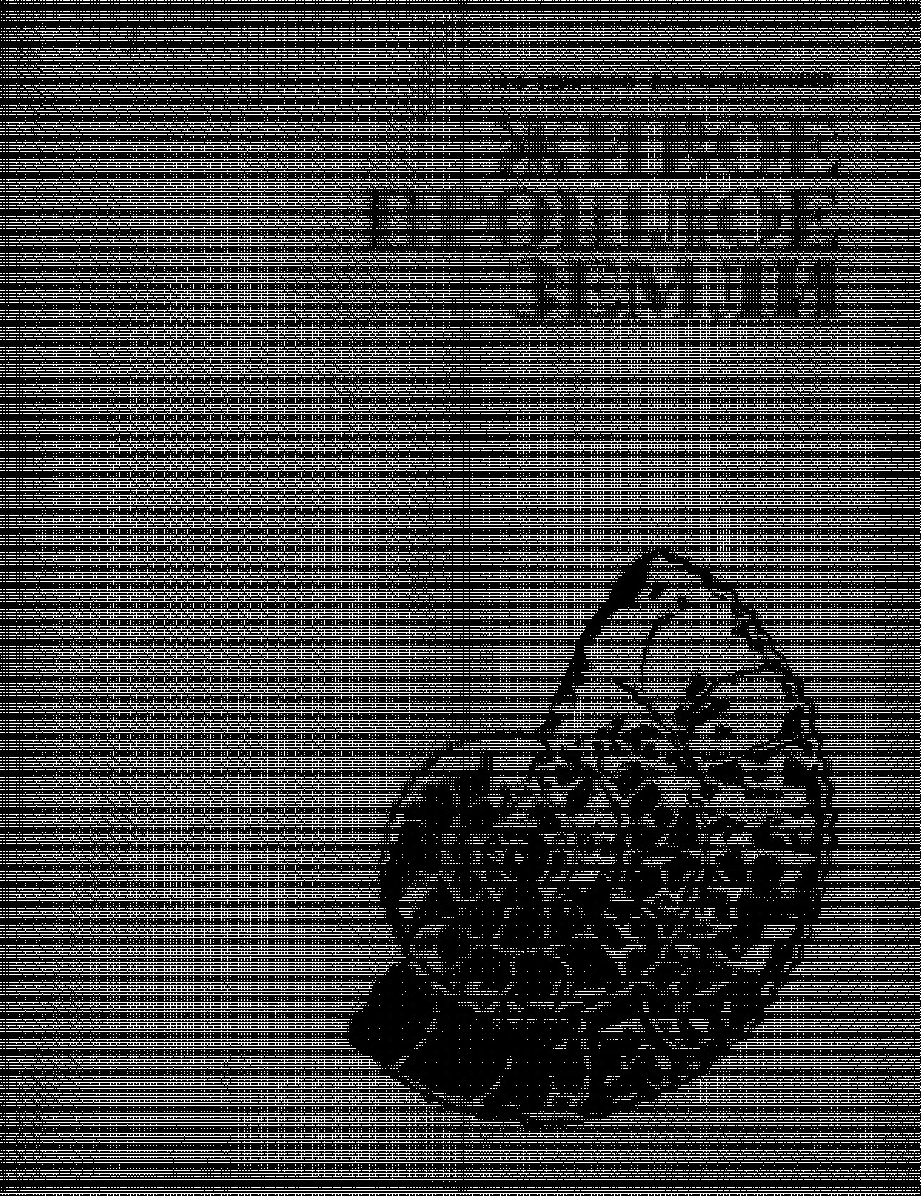 Живое прошлое Земли: Кн. для учащихся