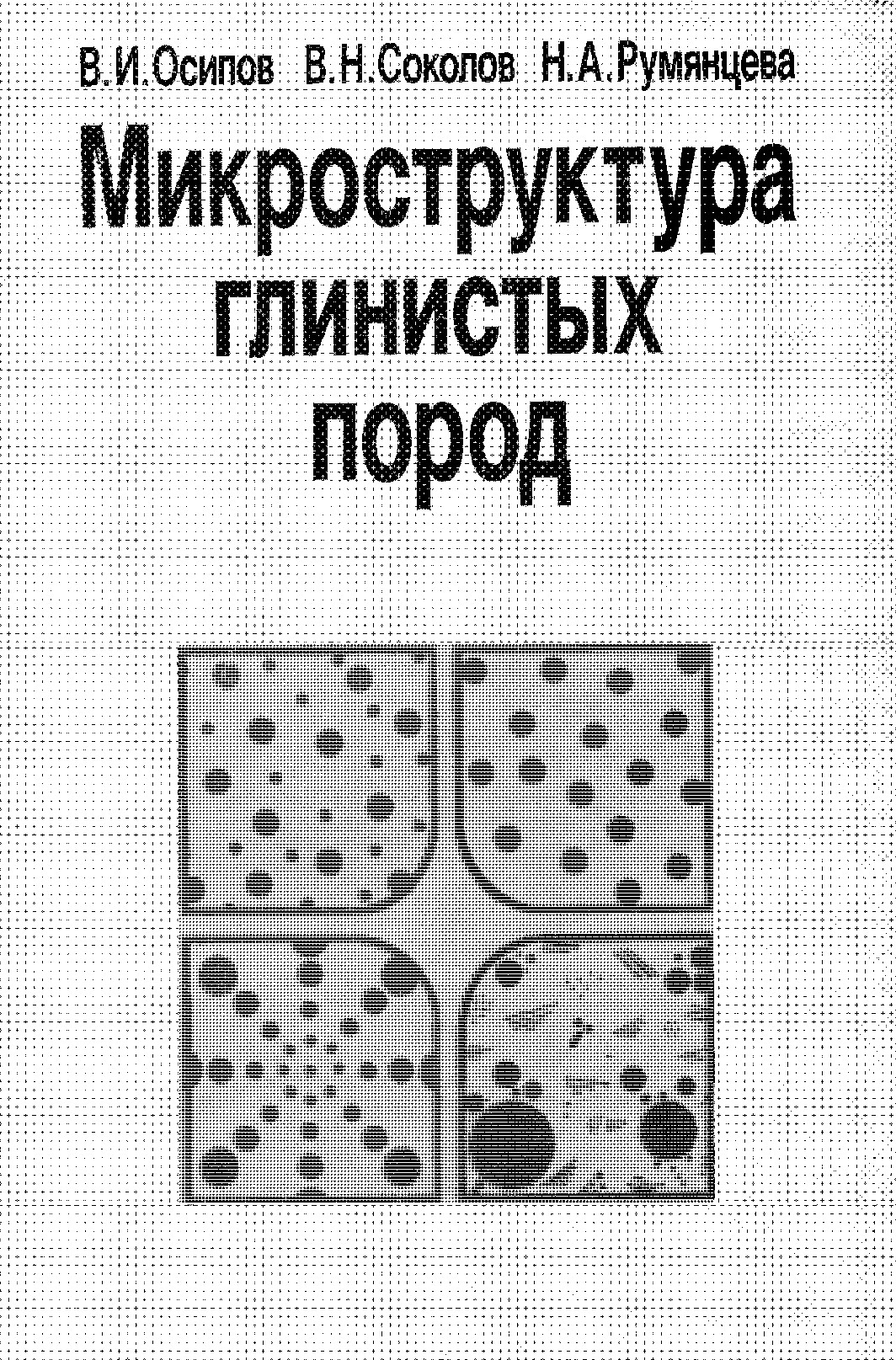 Микроструктура глинистых пород
