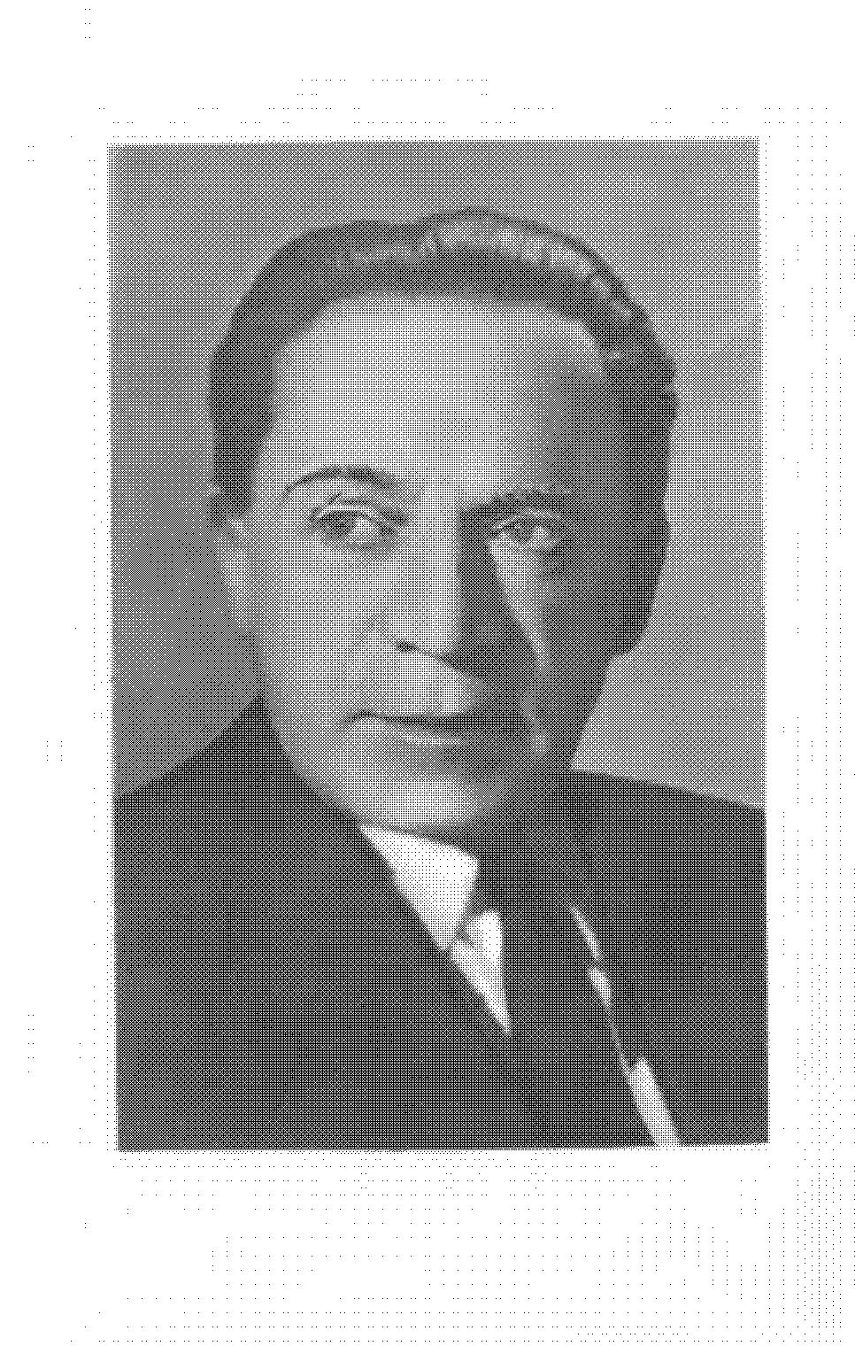 Солнечная активность и жизнь на Земле