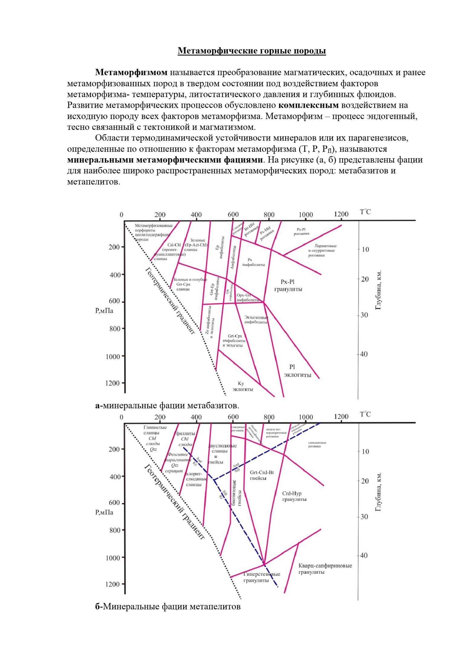 Метаморфические горные породы
