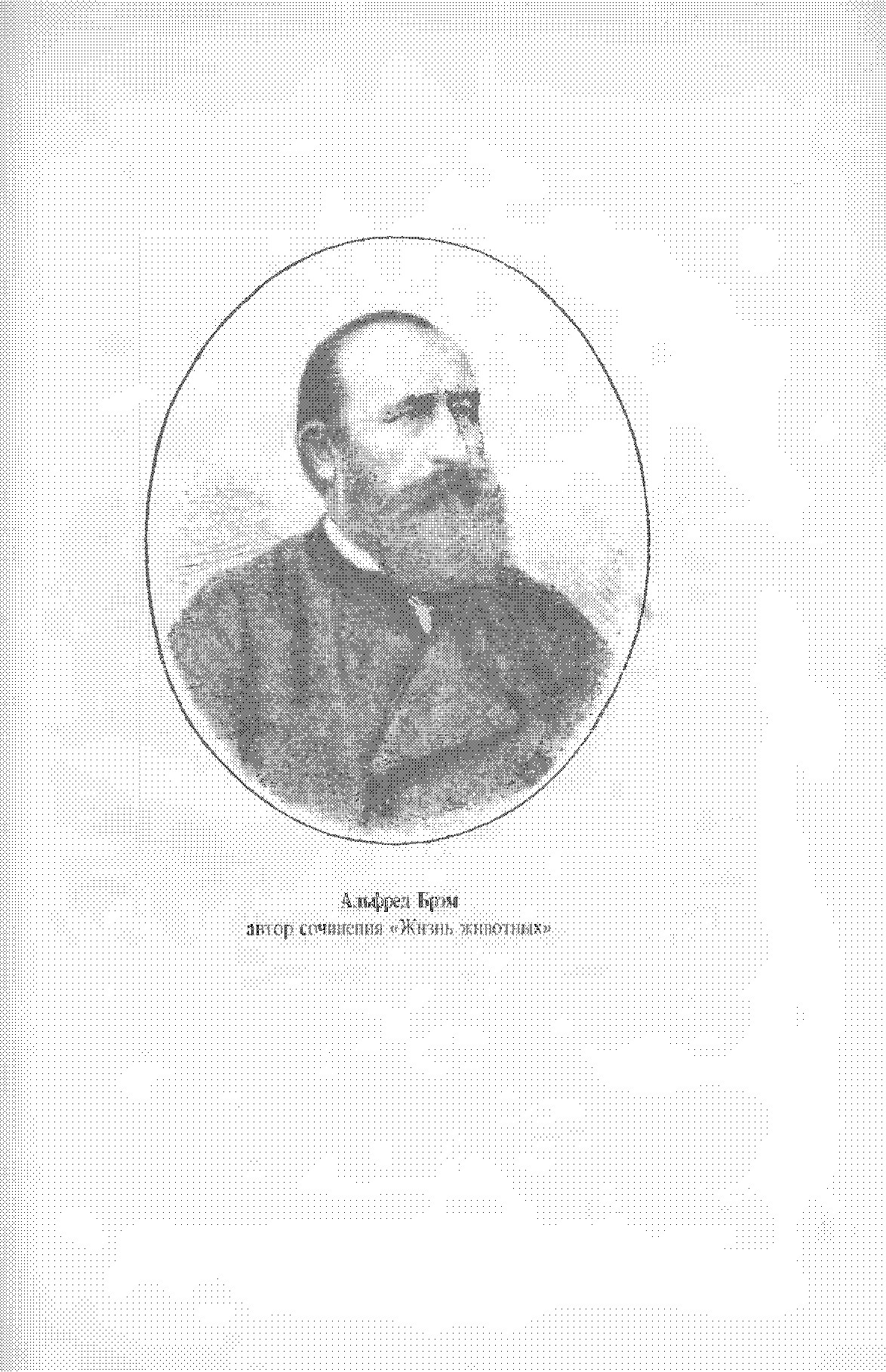 Жизнь животных