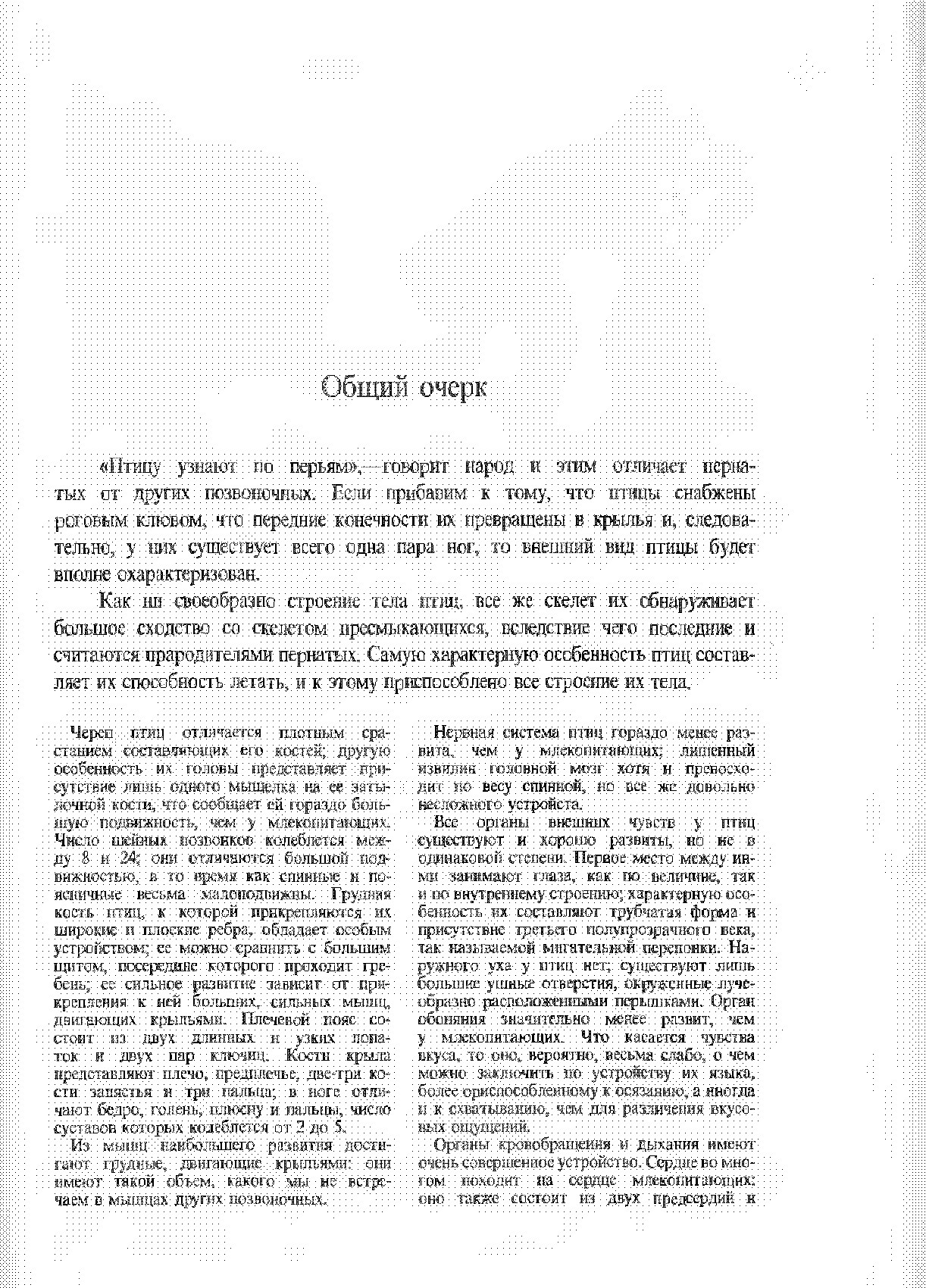 Жизнь животных