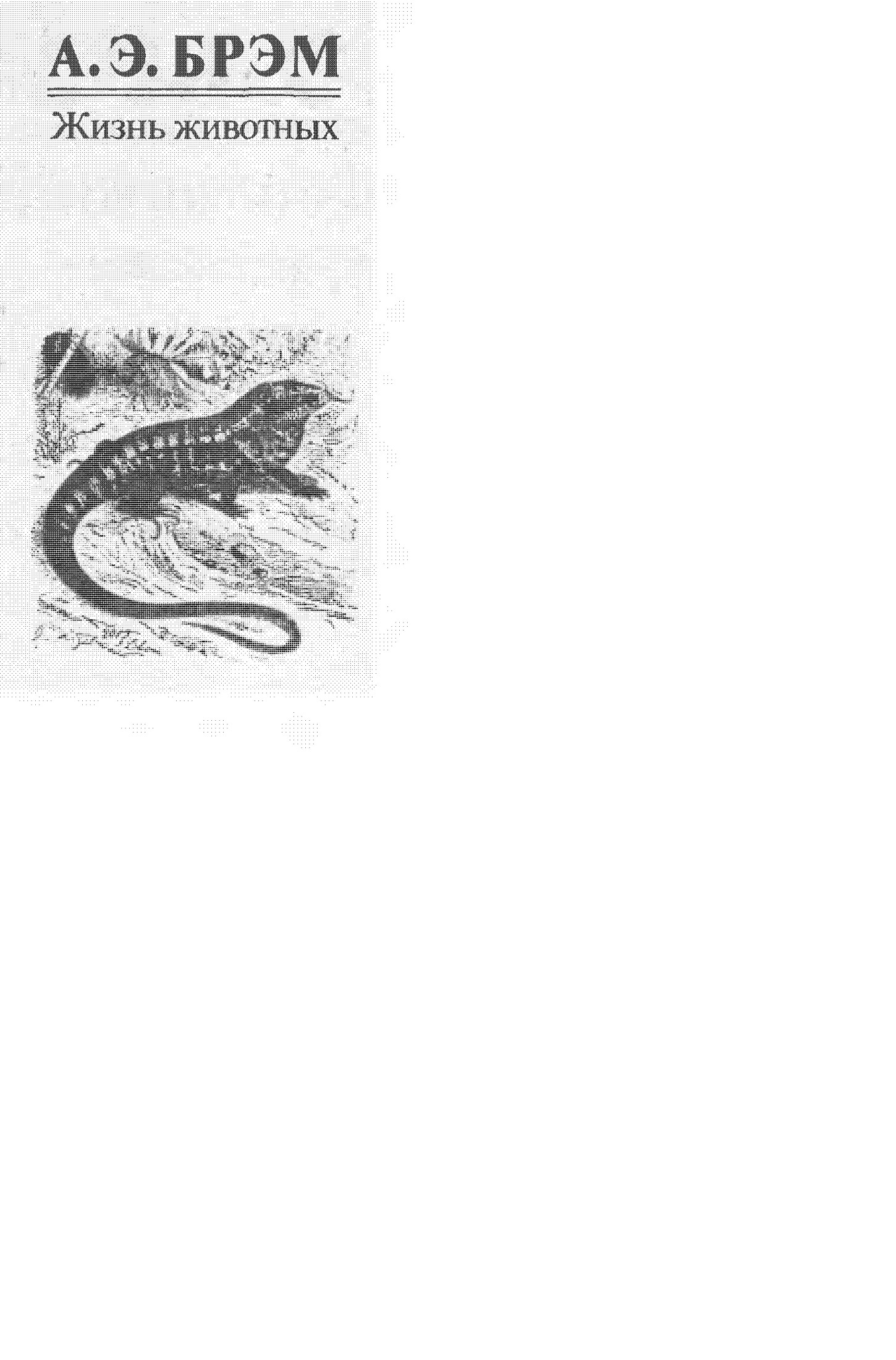 Жизнь животных