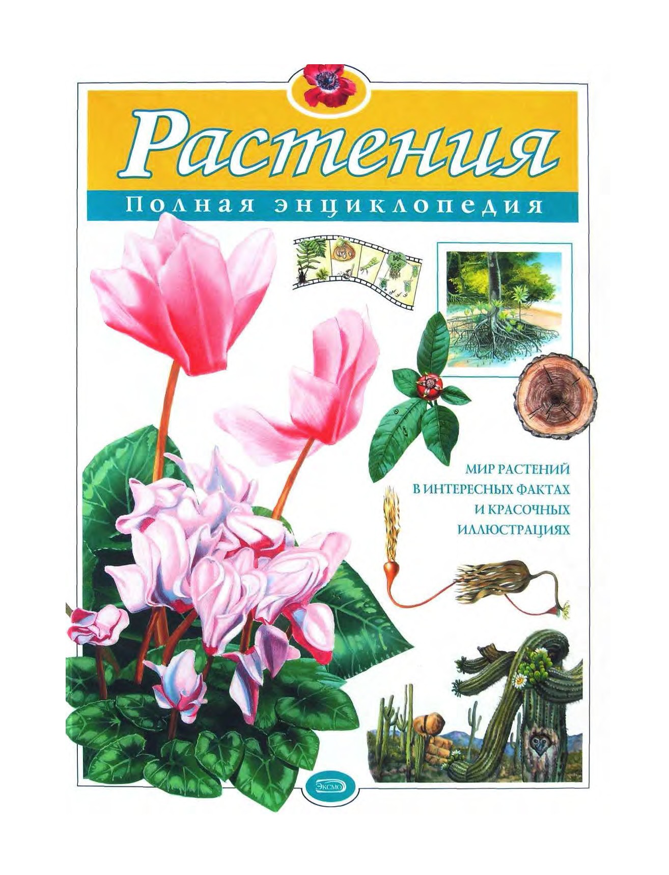 Полная энциклопедия