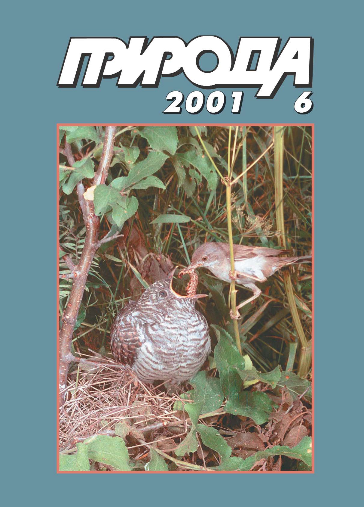 Наши истории, записанные в ДНК