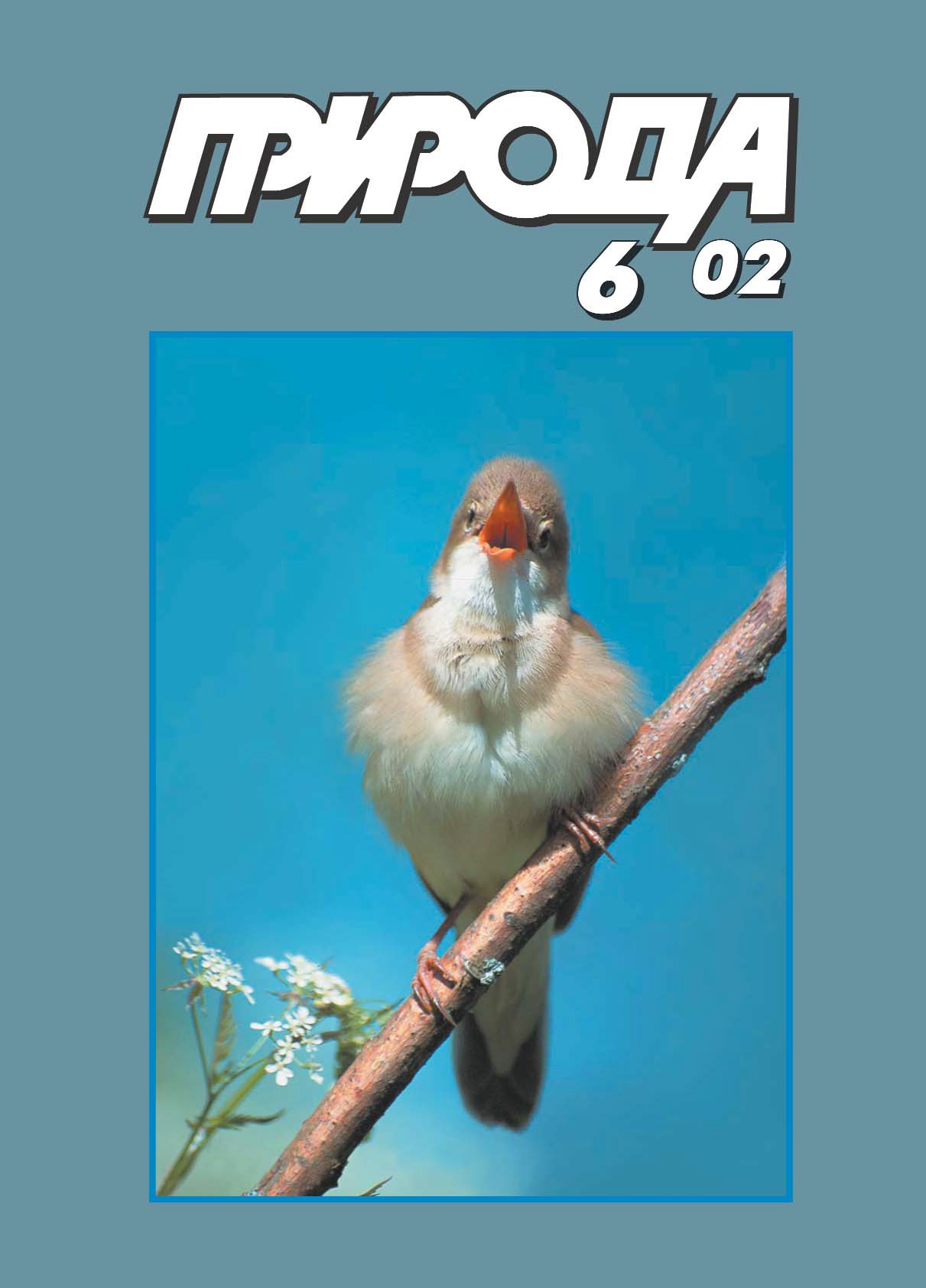 Научно технические библиотеки в современных условиях