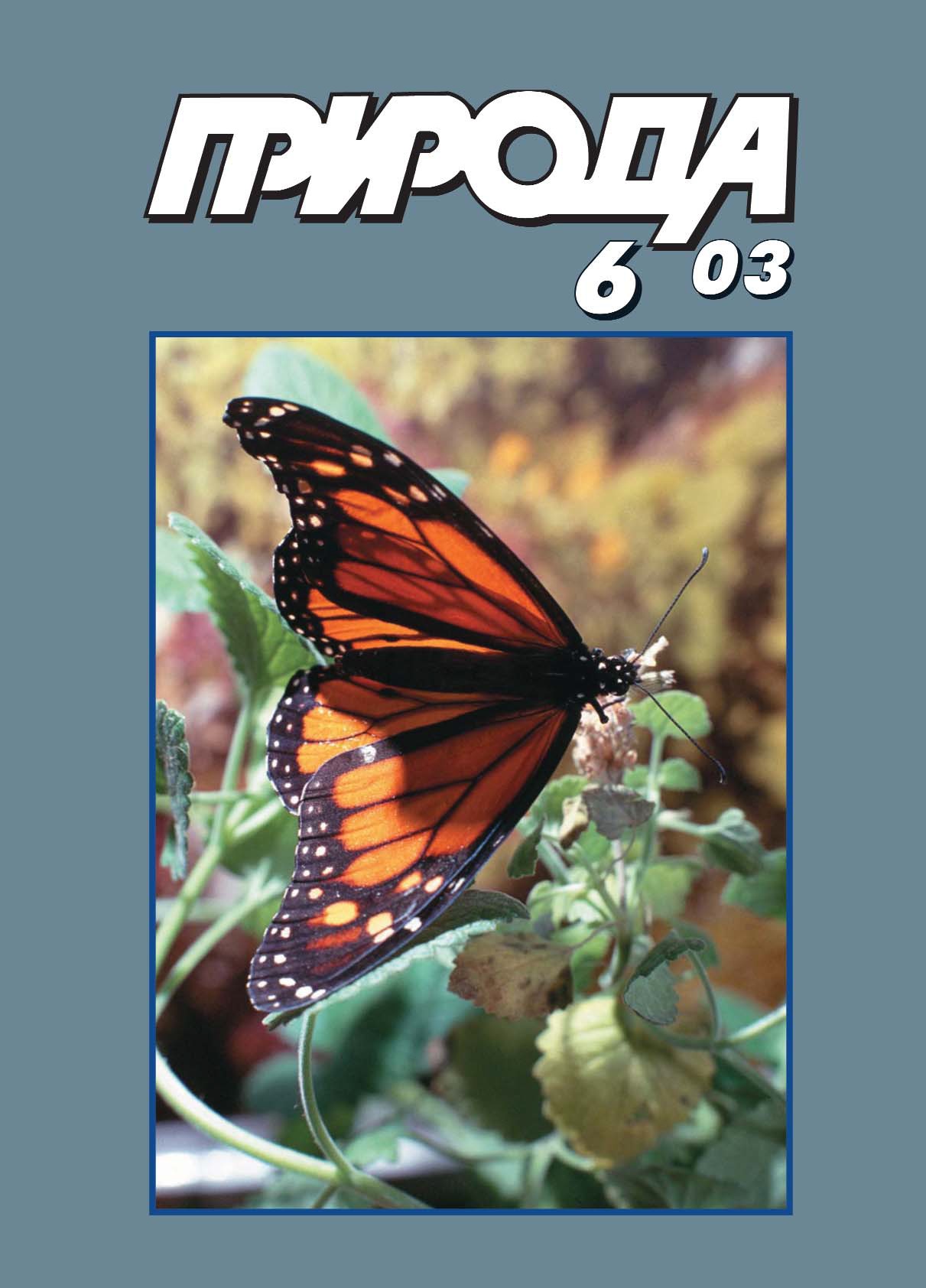 Деревья у озера Байкал