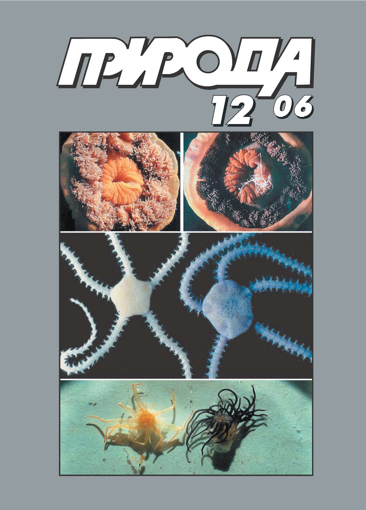 Вести из экспедиций