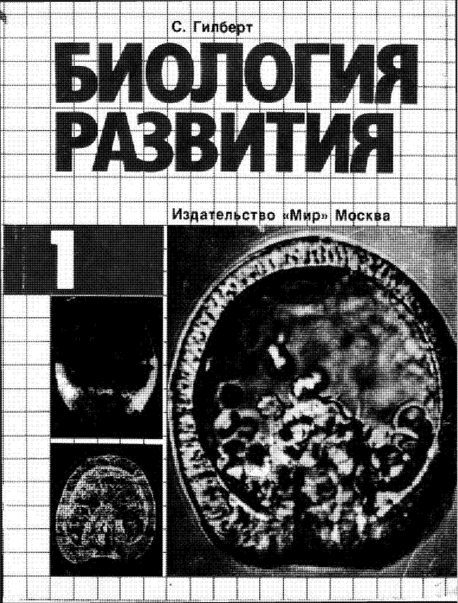 БИОЛОГИЯ РАЗВИТИЯ