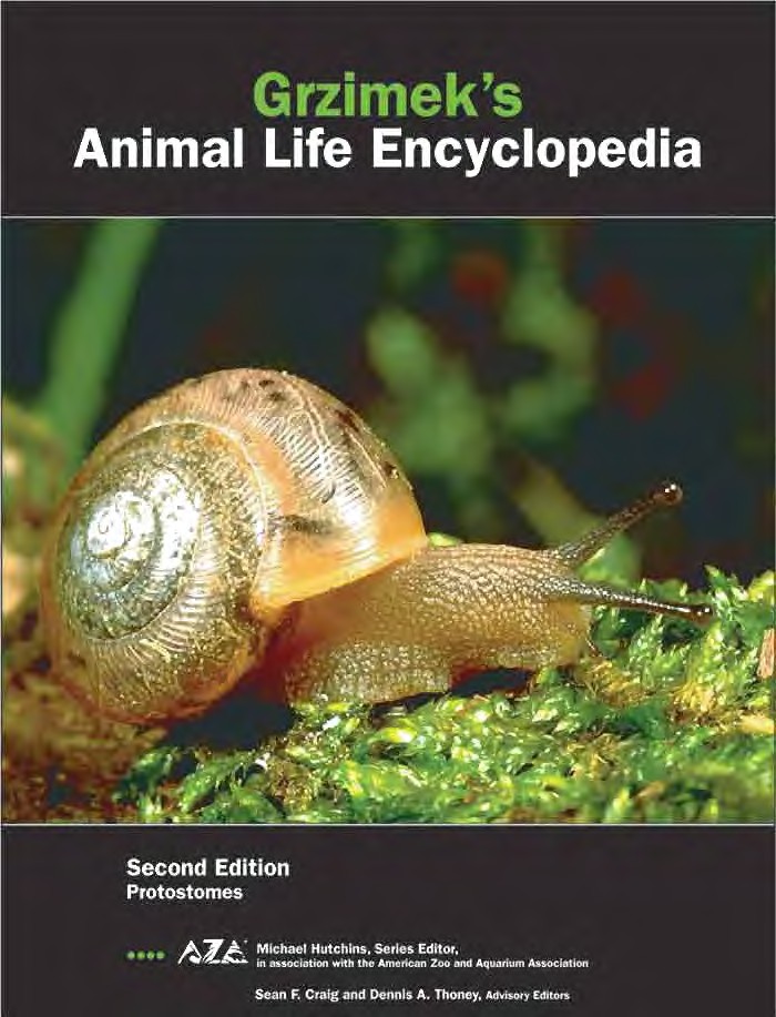 Grzimeks Animal Life Encyclopedia Second Edition Volume 2 Protostomes