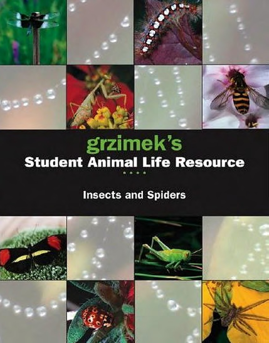 grzimeks Student Animal Life Resource •••• Insects and Spiders