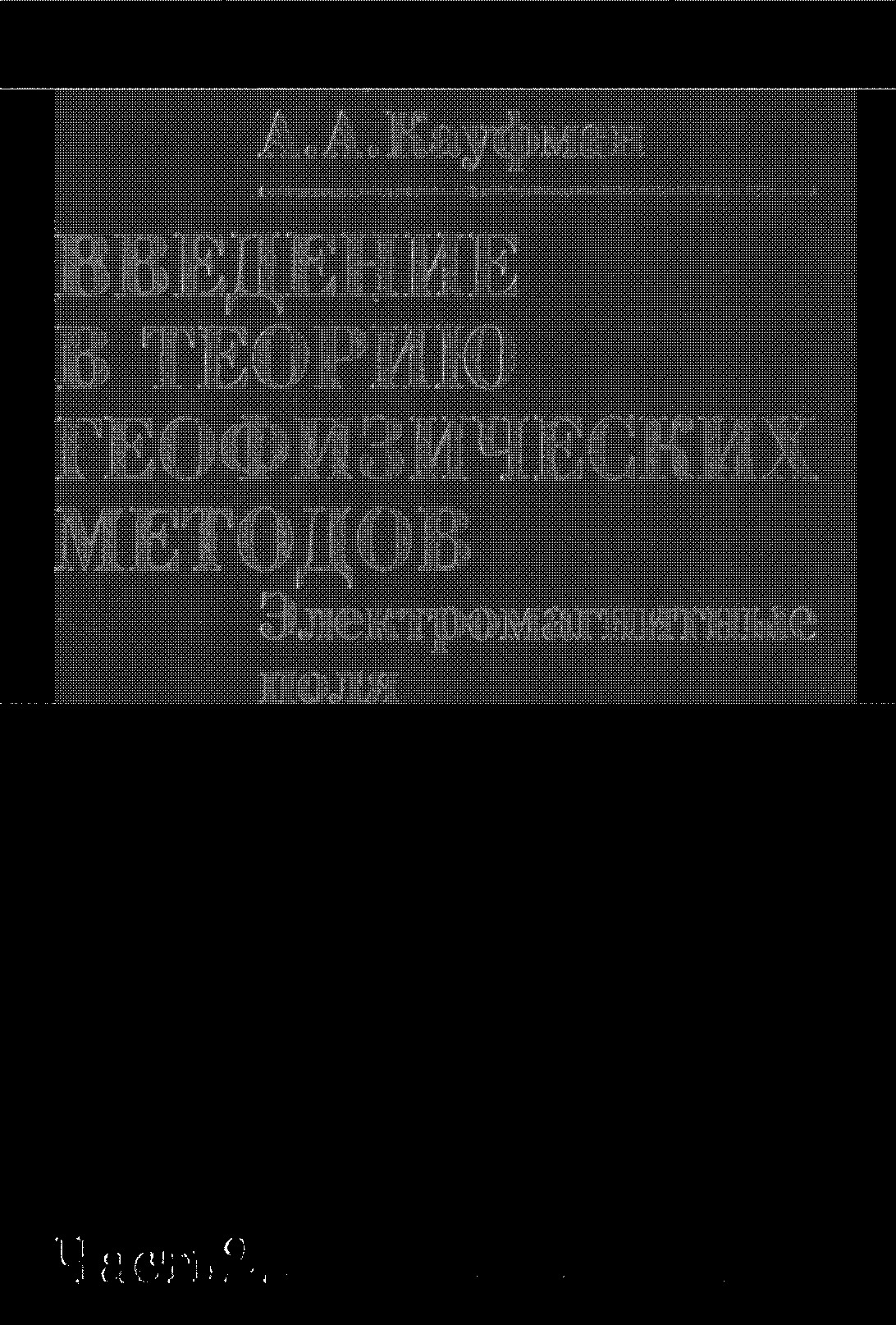 Введение в теорию геофизических методов Часть 2 Электромагнитные поля